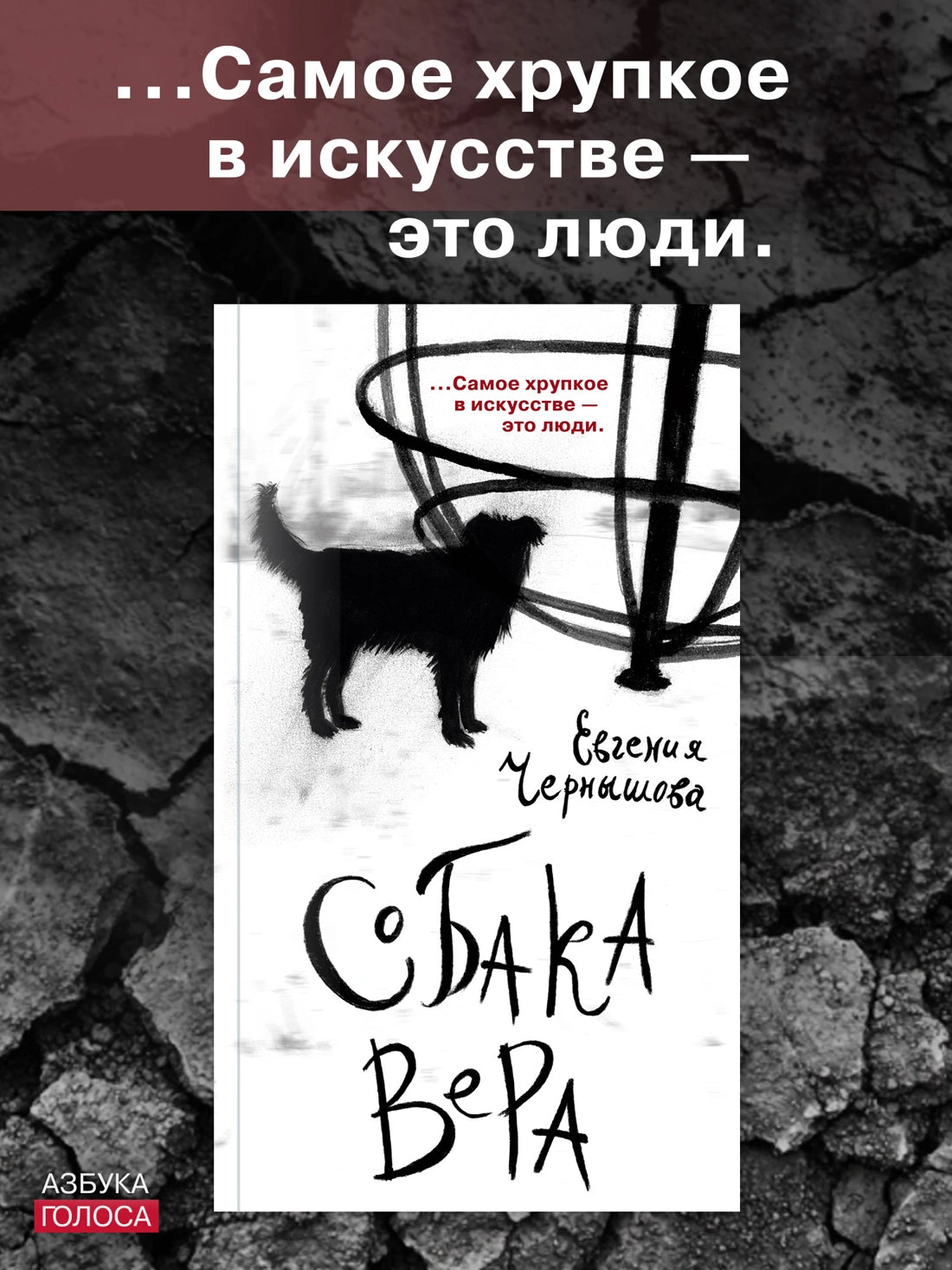 Собака Вера - Евгения Чернышова