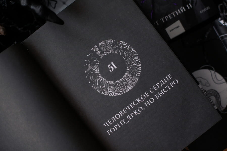 Как поймать монстра. Круг третий. Книга 2 - Арина Цимеринг
