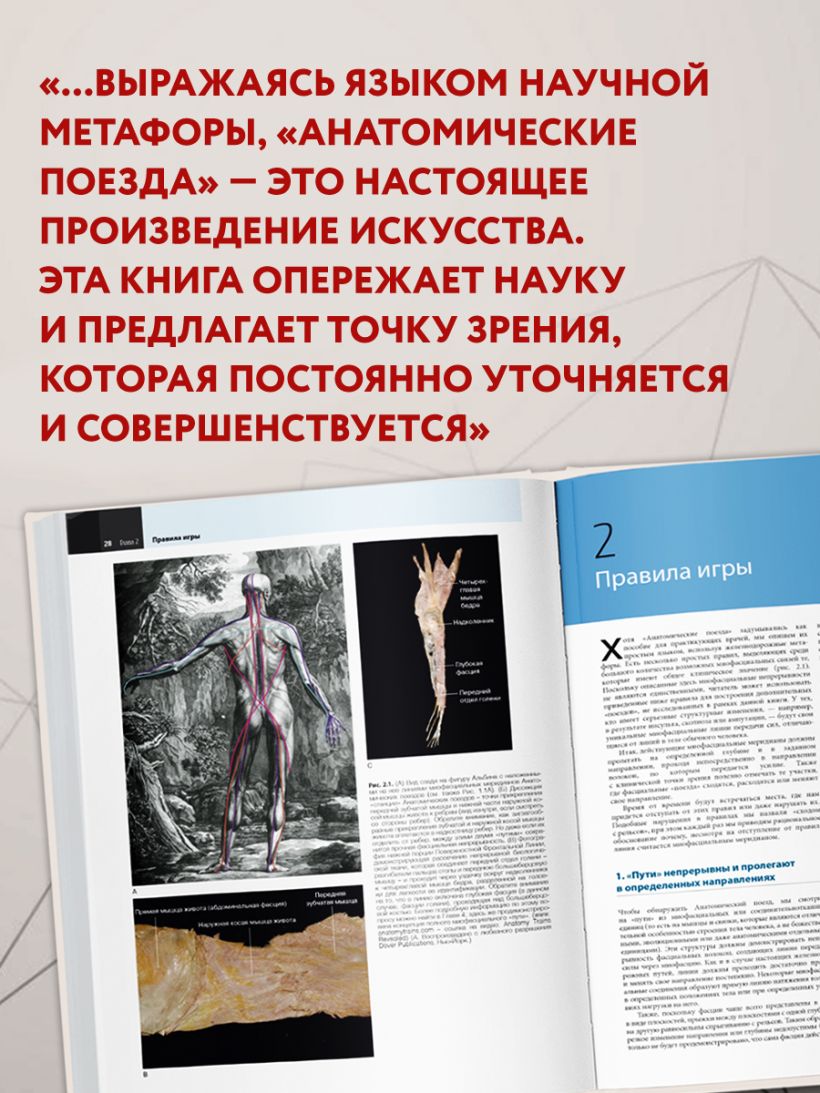 Анатомические поезда. 4-е издание - Томас В. Майерс