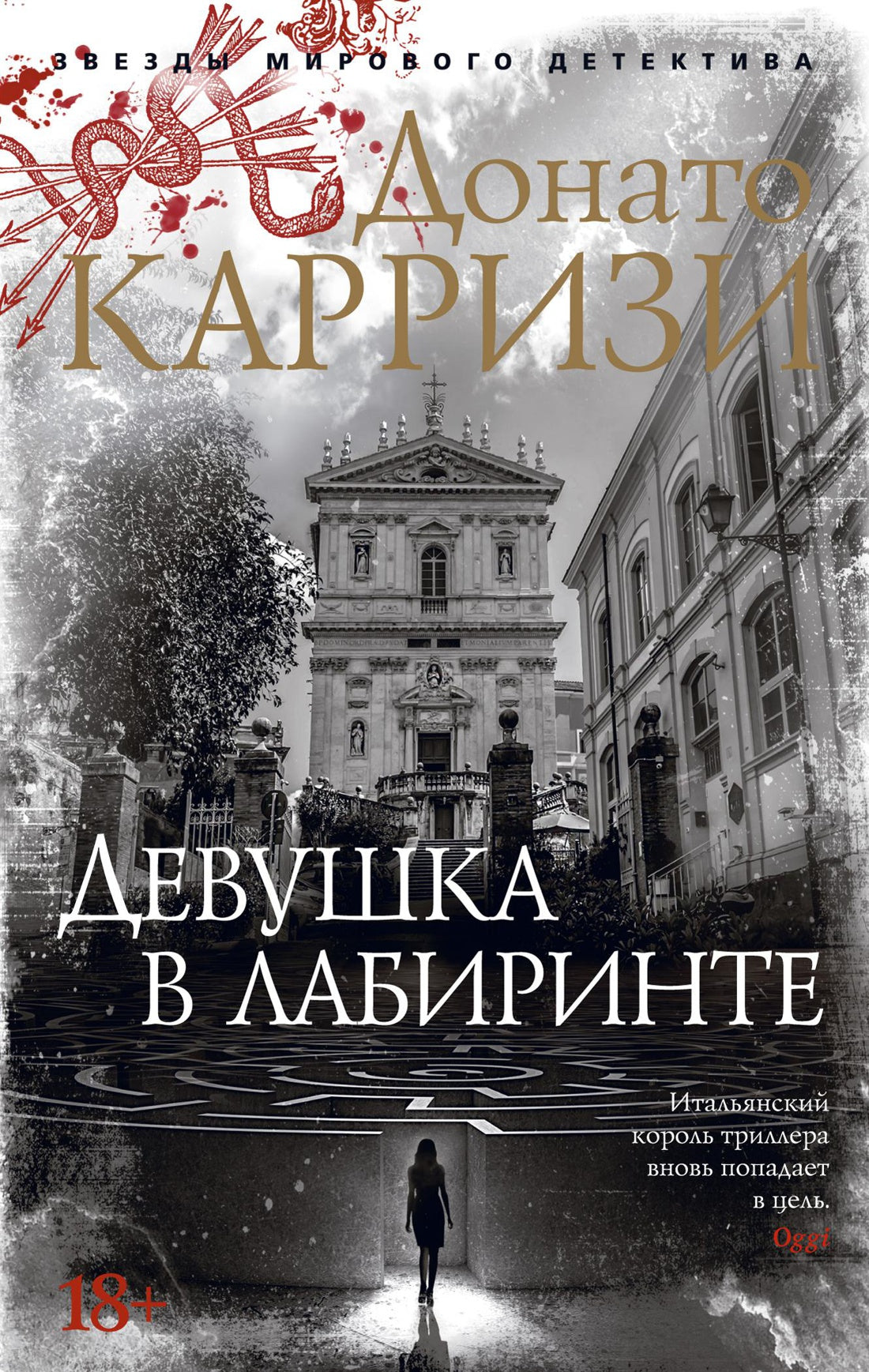 Девушка в лабиринте - Донато Карризи